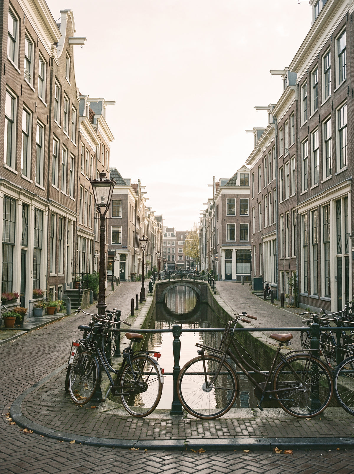 Amsterdam, intrecci d’autunno.