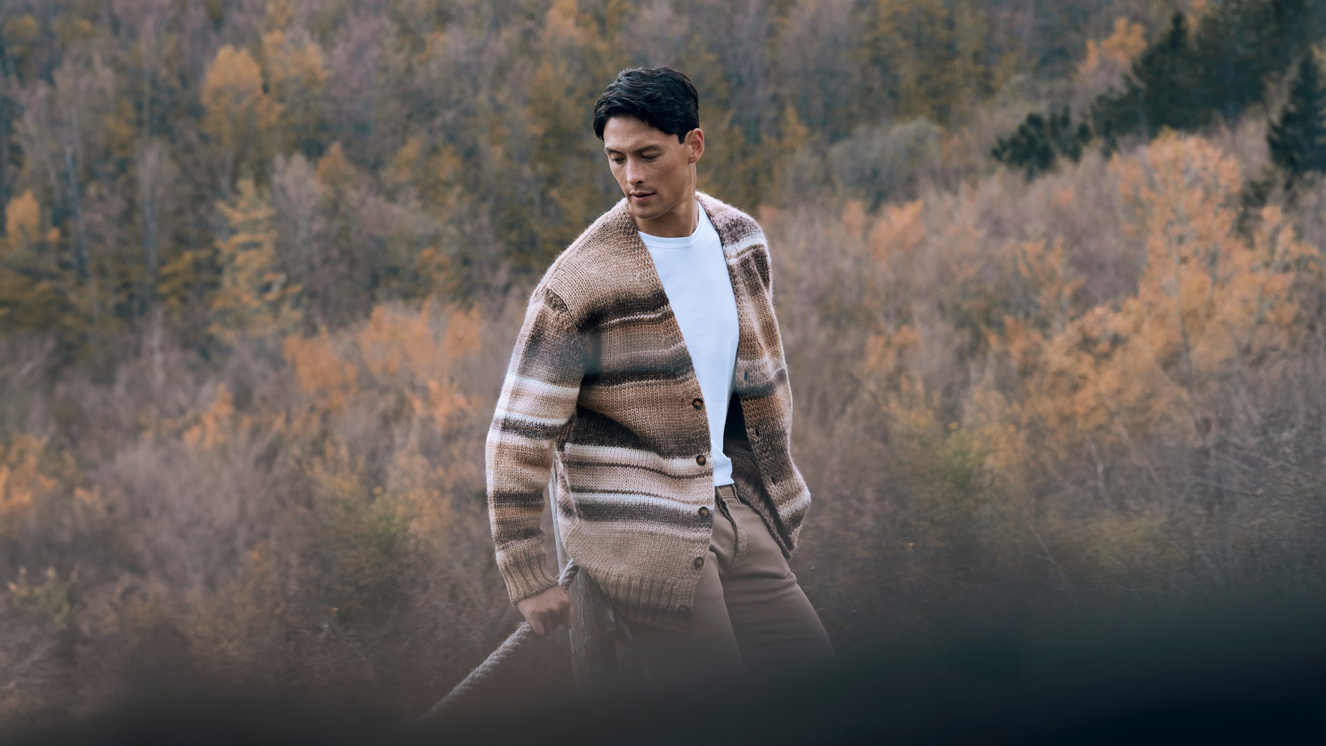 FALL WINTER COLLECTION